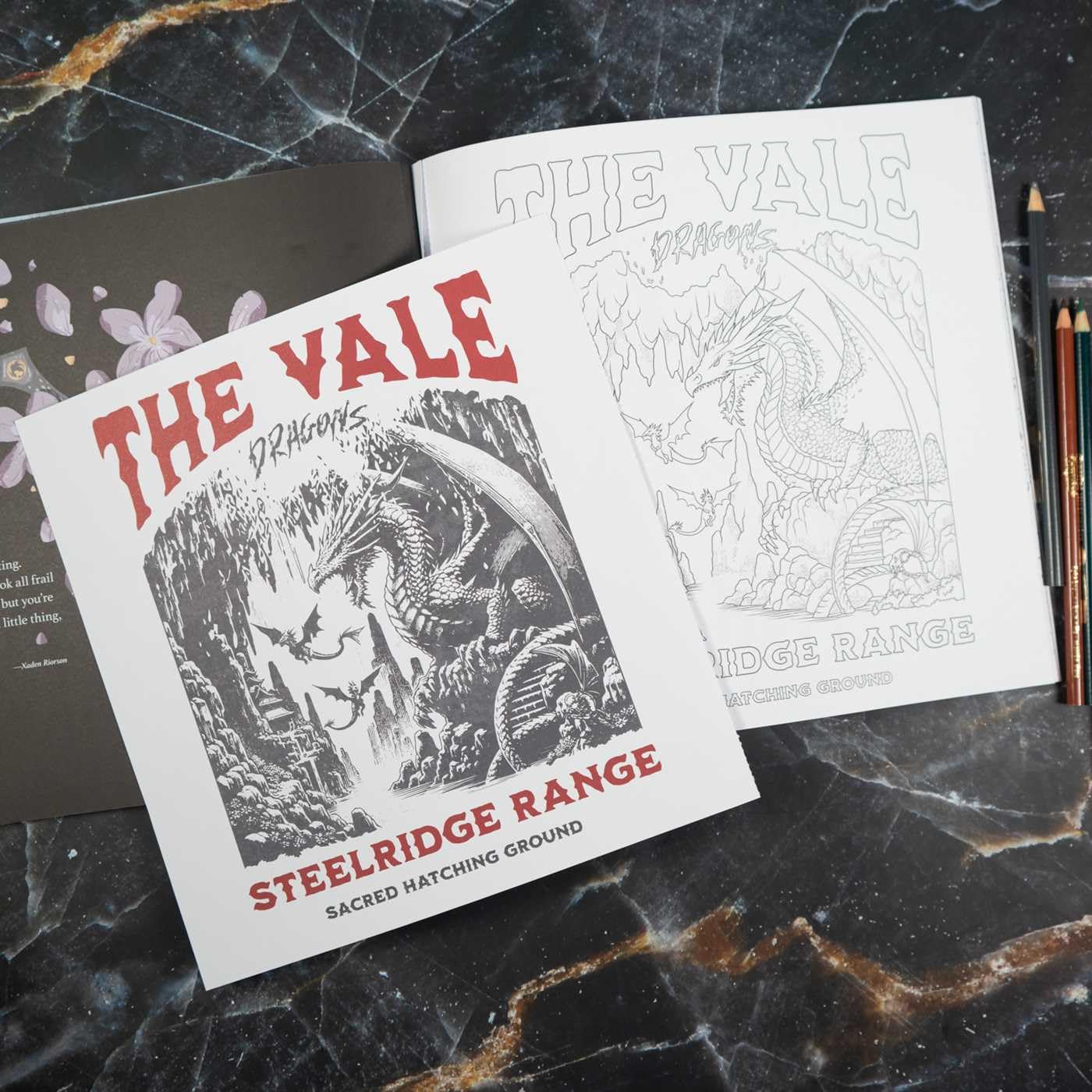 Fourth Wing: The Official Coloring Book