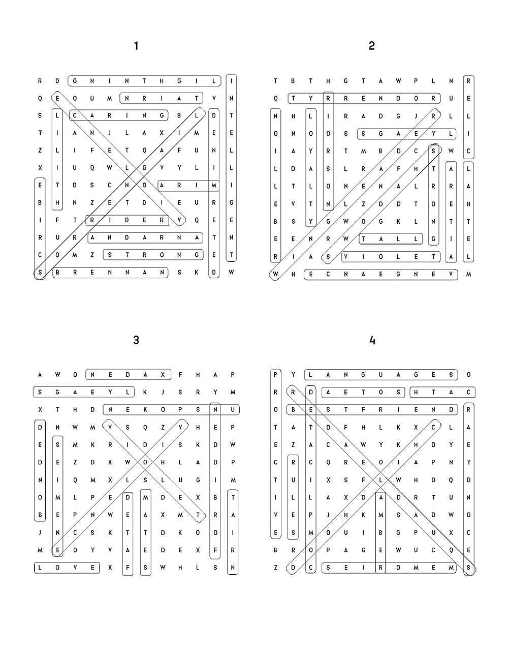 Fourth Wing: The Official Word Search Book